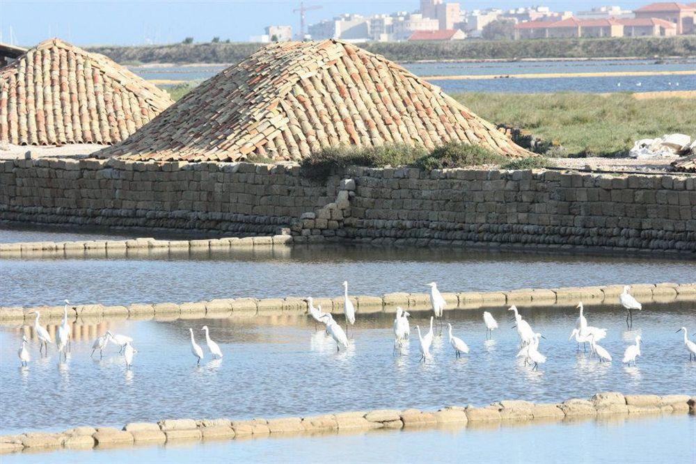 פאצ'קו Le Saline Hotel מראה חיצוני תמונה